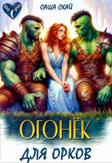 Обложка книги «Огонек для орков»