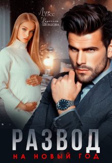 Обложка книги «Развод на новый год»