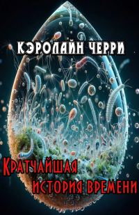 Обложка книги «Кратчайшая история времени»
