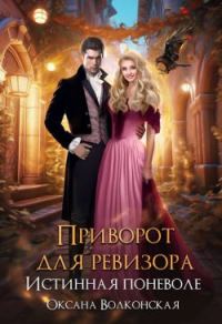 Обложка книги «Приворот для ревизора. Истинная поневоле»