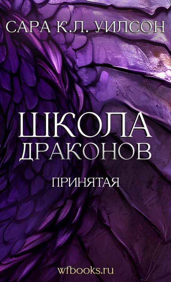 Обложка книги «Принятая»
