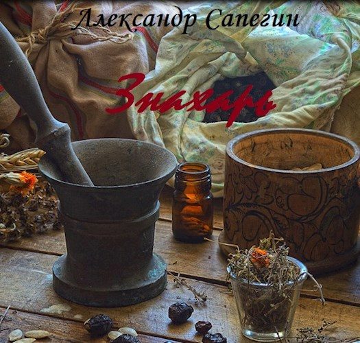 Обложка книги «Знахарь»