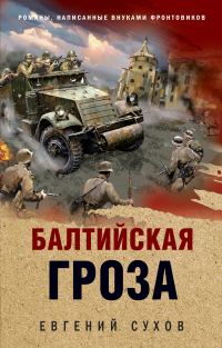 Обложка книги «Балтийская гроза»