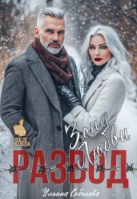 Обложка книги «Развод. Зона любви»