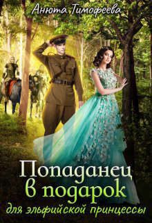 Обложка книги «Попаданец в подарок для эльфийской принцессы»