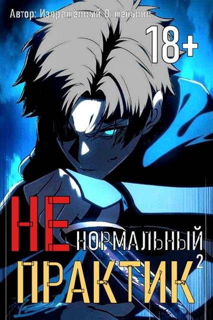Обложка книги «Ненормальный практик 2»