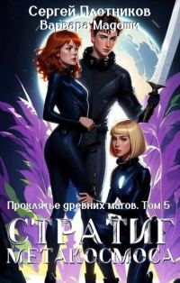 Обложка книги «Стратиг метакосмоса»