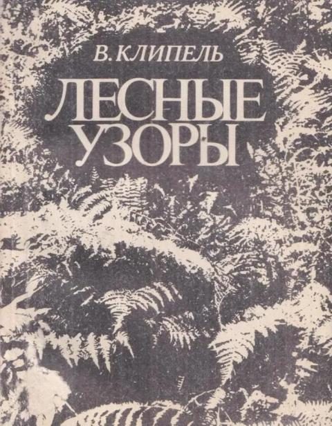 Обложка книги «Лесные узоры»