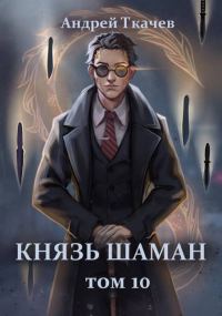 Обложка книги «Князь шаман. Том 10»