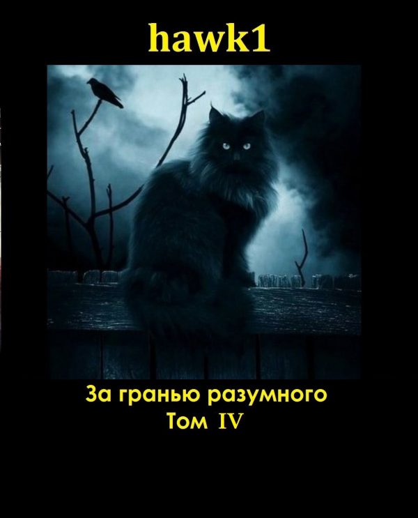 Обложка книги «За гранью разумного 4»