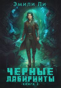 Обложка книги «Черные лабиринты. Книга 2»