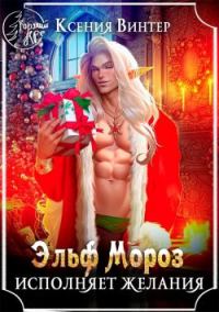 Обложка книги «Эльф Мороз исполняет желания 1»