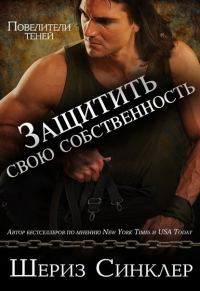 Обложка книги «Защитить свою собственность»