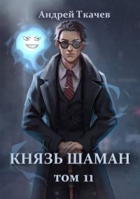 Обложка книги «Князь шаман. Том 11»
