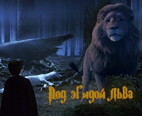 Обложка книги «Под эгидой льва»