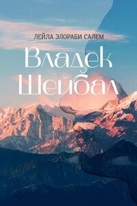 Обложка книги «Владек Шейбал»