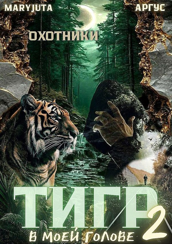 Обложка книги «Тигр в моей голове 2»