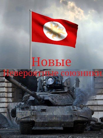 Обложка книги «Новые невероятные союзники»