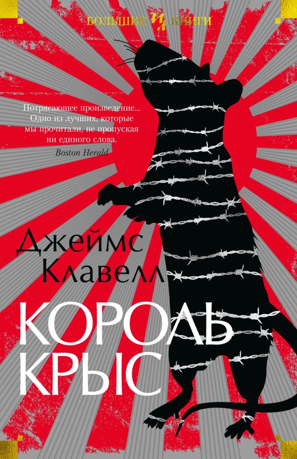 Обложка книги «Король крыс»