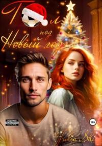 Обложка книги «Гол под Новый год»
