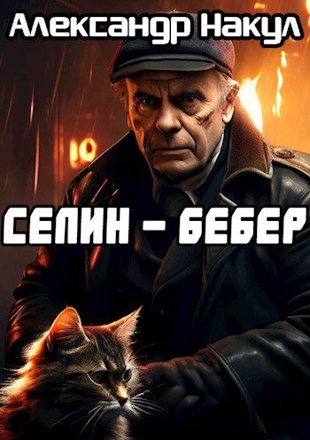 Обложка книги «Селин — Бебер»