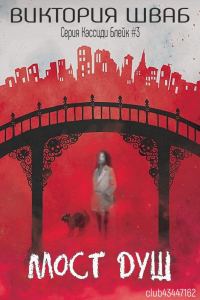 Обложка книги «Мост душ»