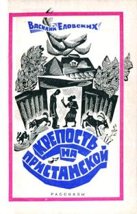 Обложка книги «Крепость на Пристанской»