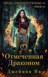 Обложка книги «Отмеченная драконом»