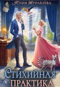 Обложка книги «Стихийная практика»