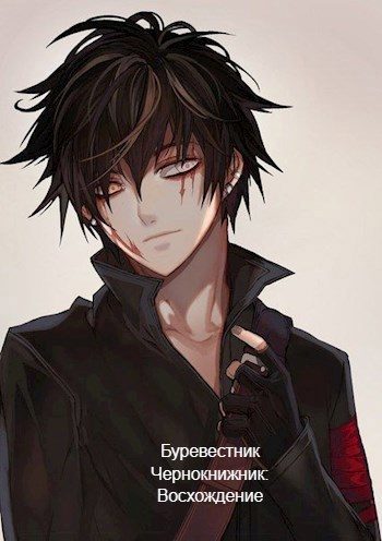Обложка книги «Чернокнижник: Восхождение»