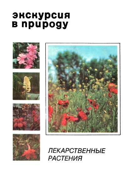 Обложка книги «Экскурсия в природу. Лекарственные растения. Выпуск 1»