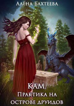 Обложка книги «Кам. Практика на острове друидов»
