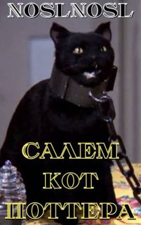 Обложка книги «Салем кот Поттера»