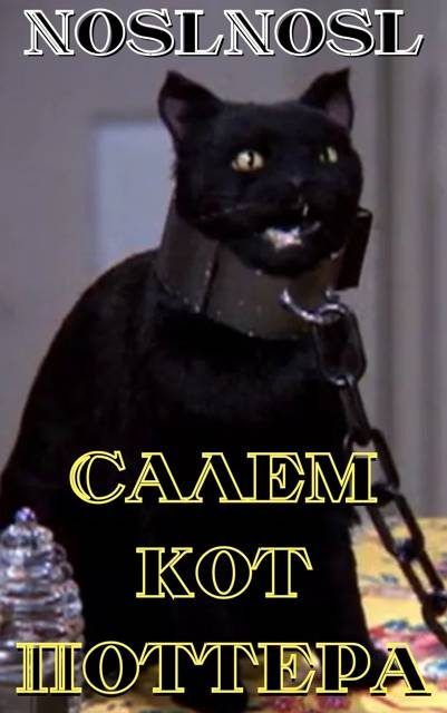 Обложка книги «Салем кот Поттера»