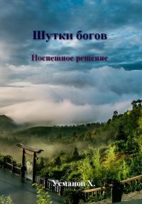 Обложка книги «Поспешное решение»