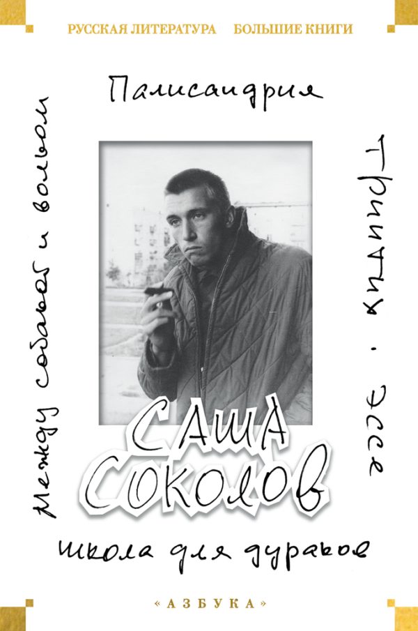 Обложка книги «Школа для дураков. Между собакой и волком. Палисандрия. Эссе. Триптих»