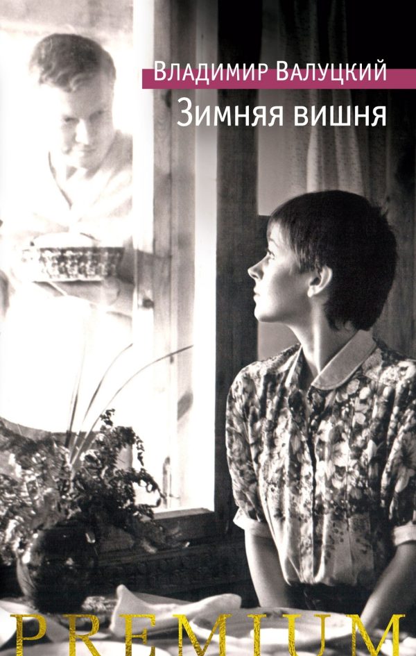 Обложка книги «Зимняя вишня»