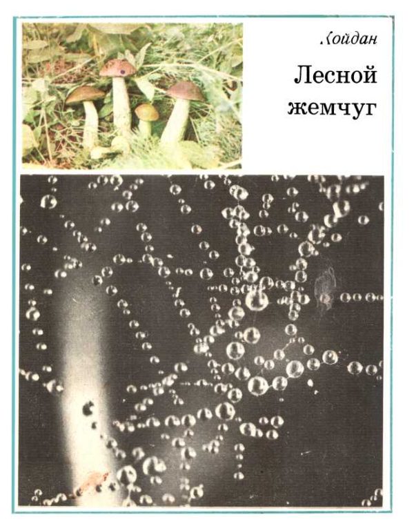Обложка книги «Лесной жемчуг»