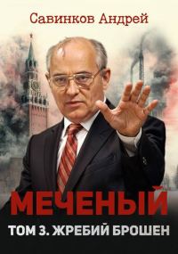 Обложка книги «Меченый. Том 3. Жребий брошен»