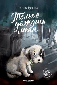 Обложка книги «Только дождись меня»