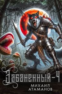 Обложка книги «Забаненный 4»