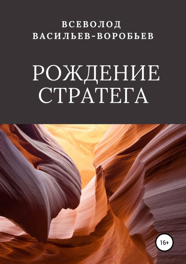 Обложка книги «Рождение стратега»