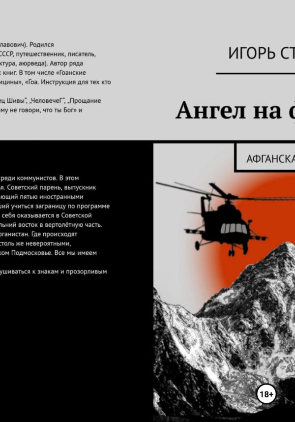 Обложка книги «Ангел на фюзеляже»