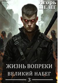 Обложка книги «Великий Набег»