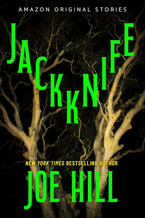 Обложка книги «Складник»