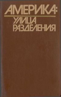 Обложка книги «Америка: Улица Разделения»