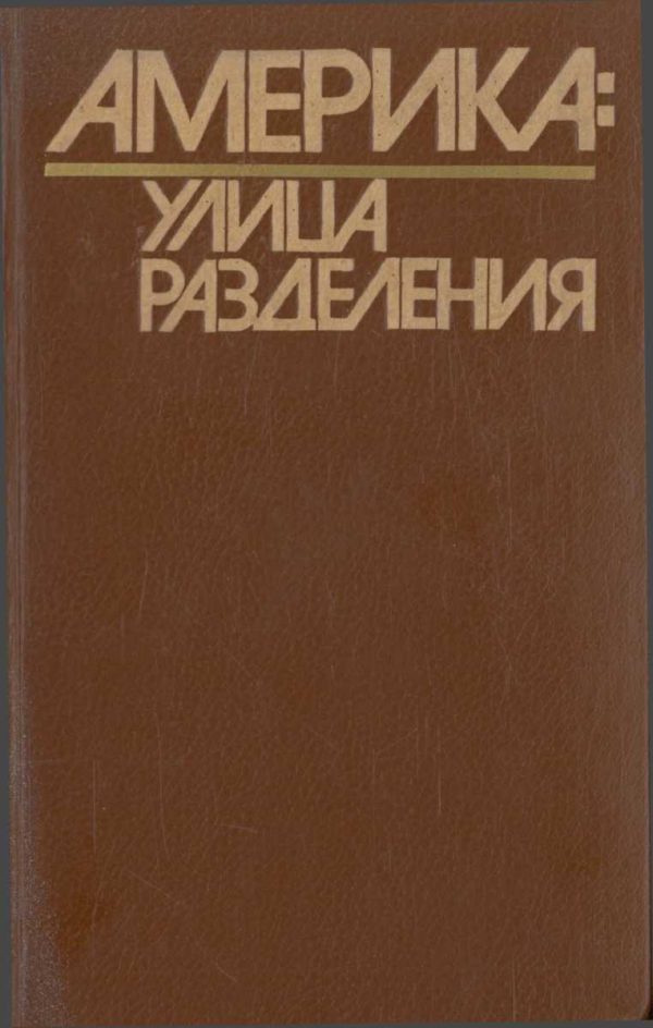 Обложка книги «Америка: Улица Разделения»