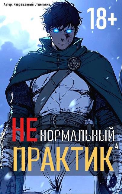 Обложка книги «Ненормальный практик 4»