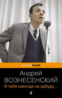 Обложка книги «Я тебя никогда не забуду…»