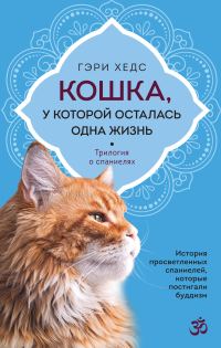 Обложка книги «Кошка, у которой осталась одна жизнь»